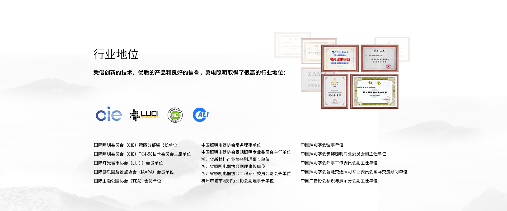 关于勇电-杭州勇电照明有限公司
