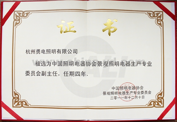 中国照明电器协会第一届第一次会员大会-杭州勇电照明有限公司