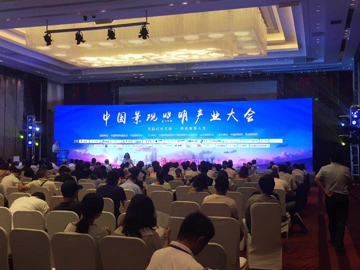 勇电闪灼2018中国景观照明工业大会，，，，，，展现户外景观照明特殊实力-杭州勇电照明有限公司